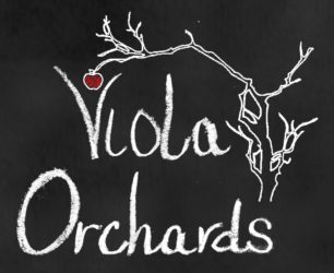 viola orchards logo