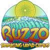 Ruzzo Hard Citrus